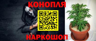 амф Берёзовский