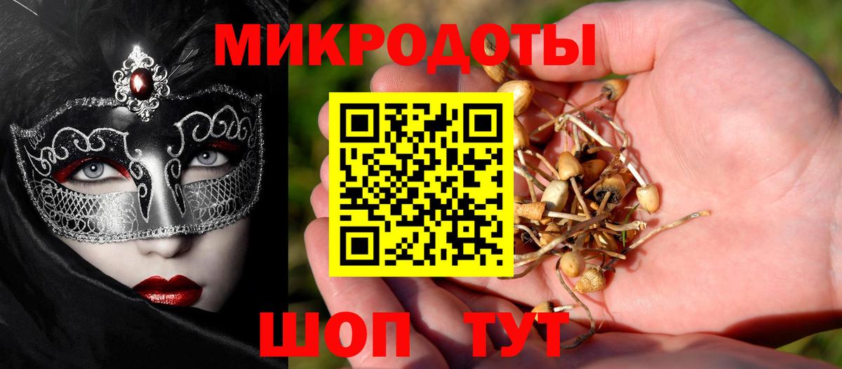 Зеленокумск  Псилоцибиновые грибы Magic Shrooms  наркотики  Вход с VPN 