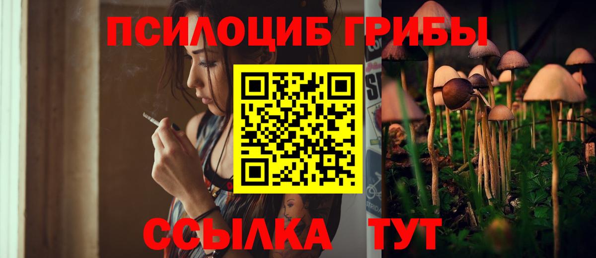 Галлюциногенные грибы Cubensis Зеленокумск